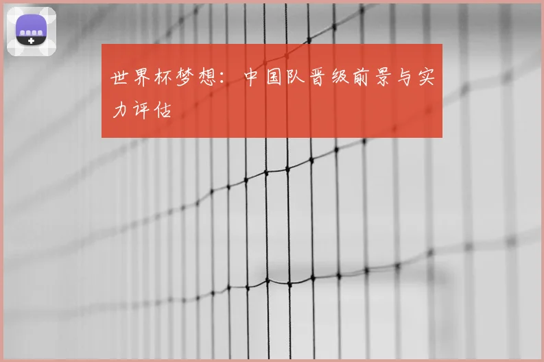 世界杯梦想：中国队晋级前景与实力评估